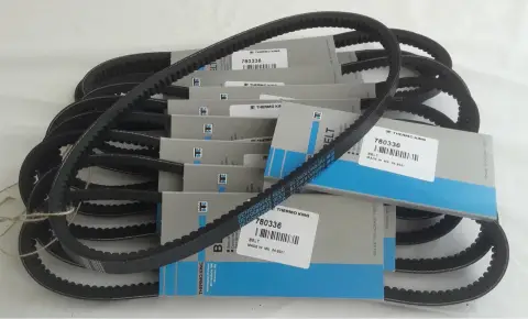 Thermo King Pompa Remen