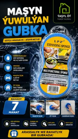 Maşyn ýuwulýan Gubka