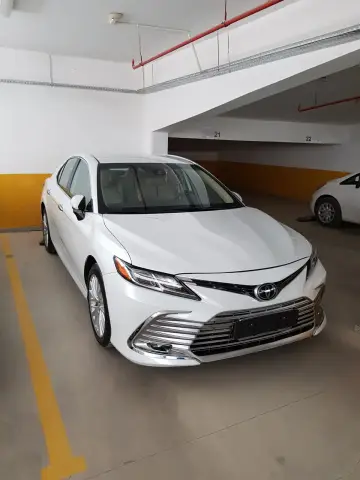 2019 Toyota Camry Le/Se/Xle/L