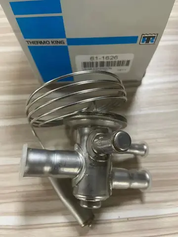 Thermo King Terwe
