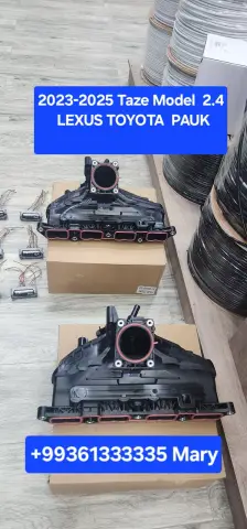 Turbina pauk