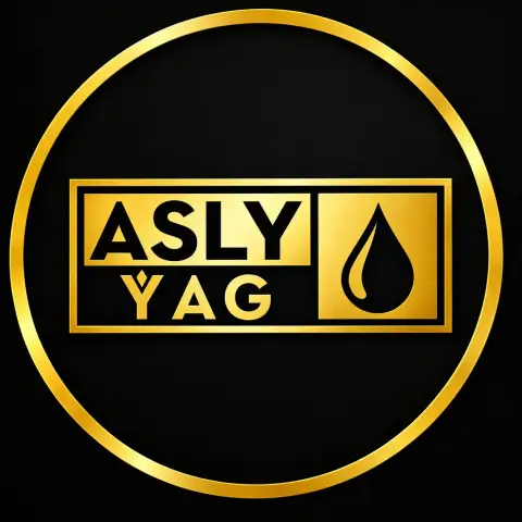 ASLY ÝAG