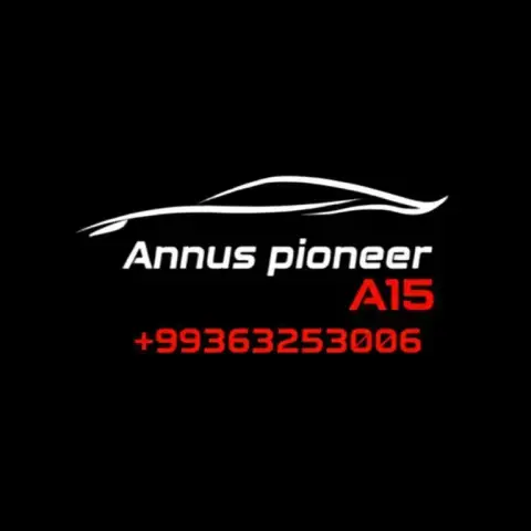 Pioneer A15