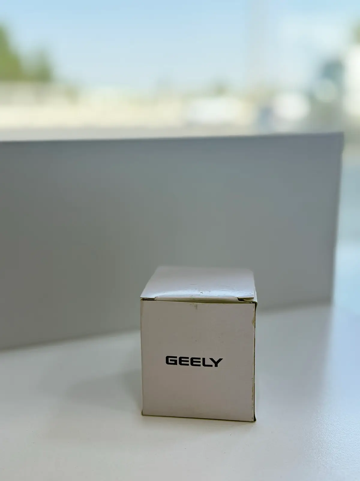 Geely Coolray yag Filtr 2