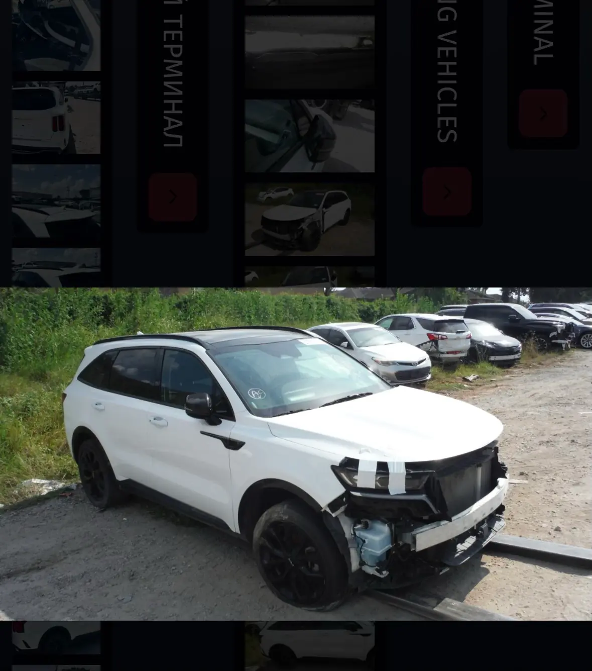 2022 Kia Sorento Sx 3