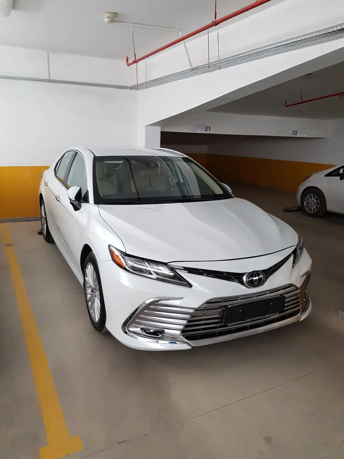 2019 Toyota Camry Le/Se/Xle/L 1