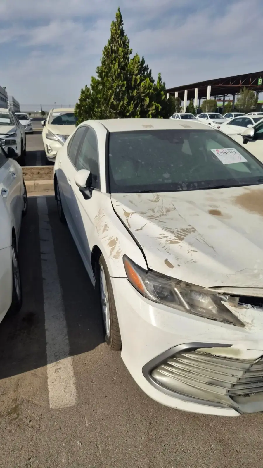 2021 Toyota Camry Le 1