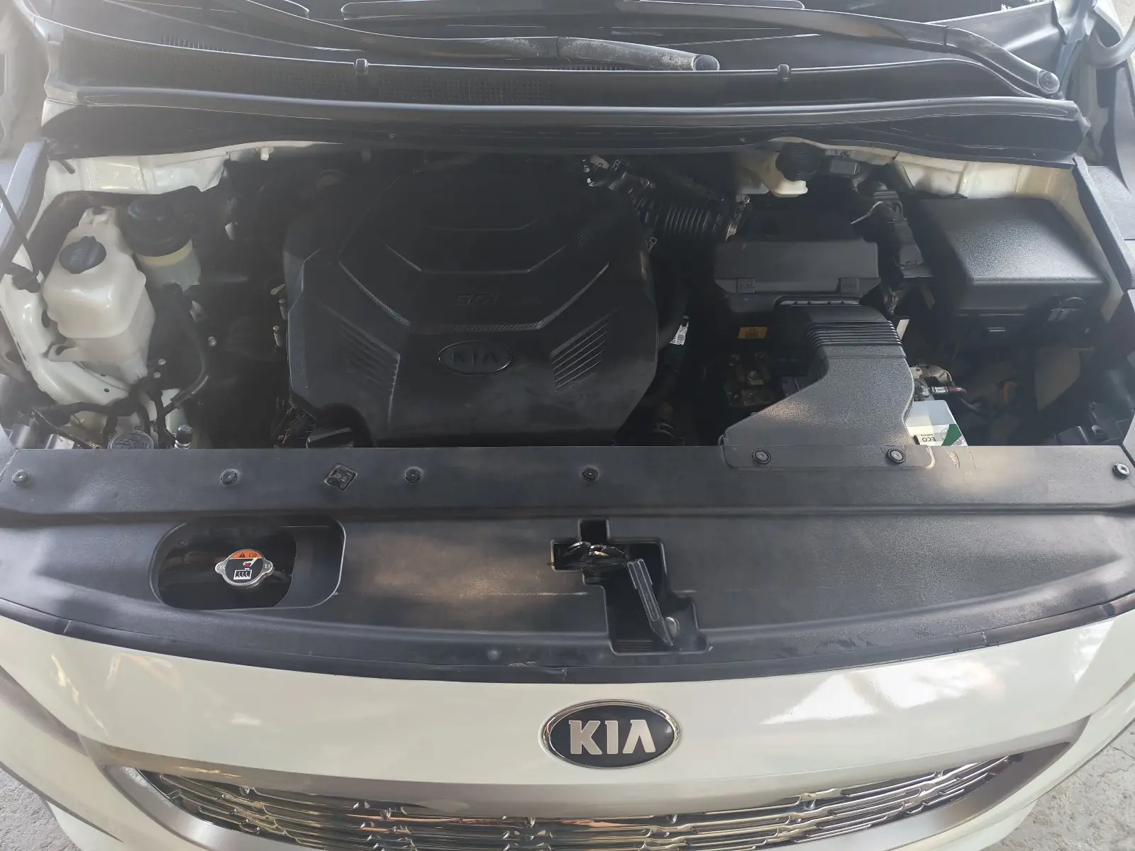 2019 KIA Sedona 3