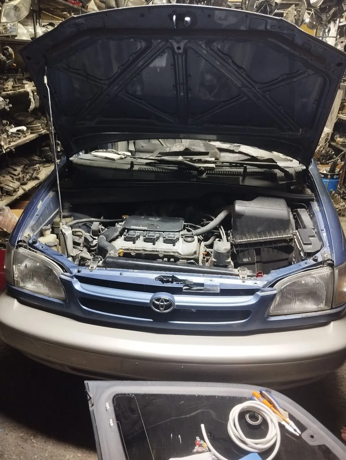 99 yyl sienna morda 1