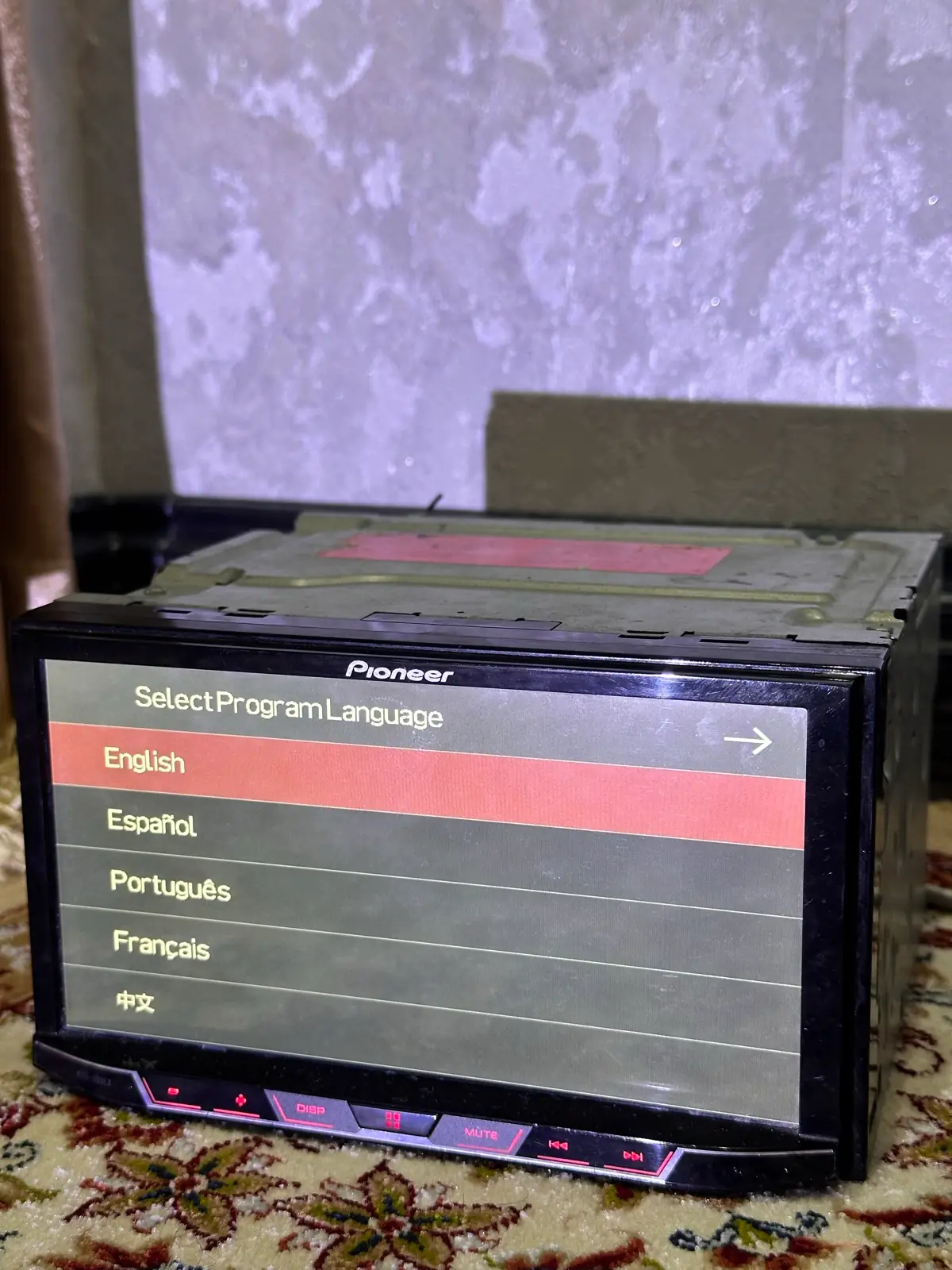 Pioneer 300NEX 1