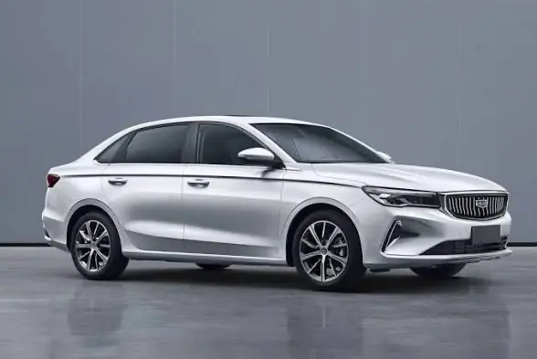 Geely Coolray yag Filtr 1