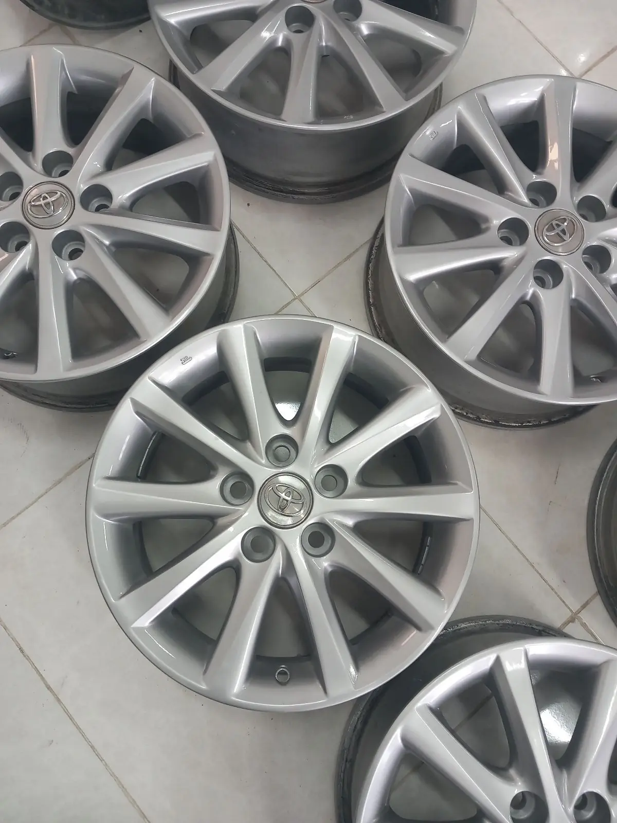 Xle okuz diska R16 morda 4