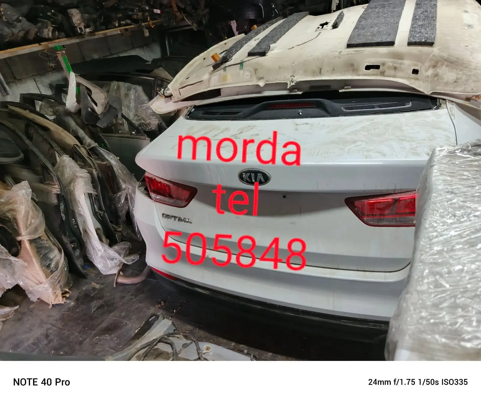 Morda 3