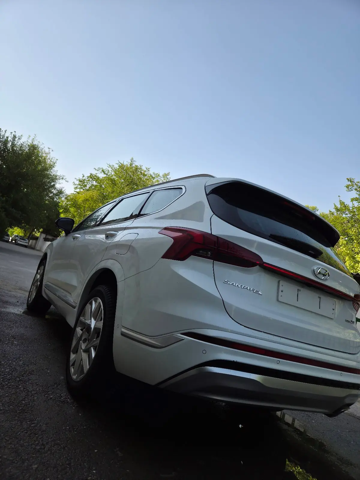 2021 Hyundai Santa Fe Calligraphy 5