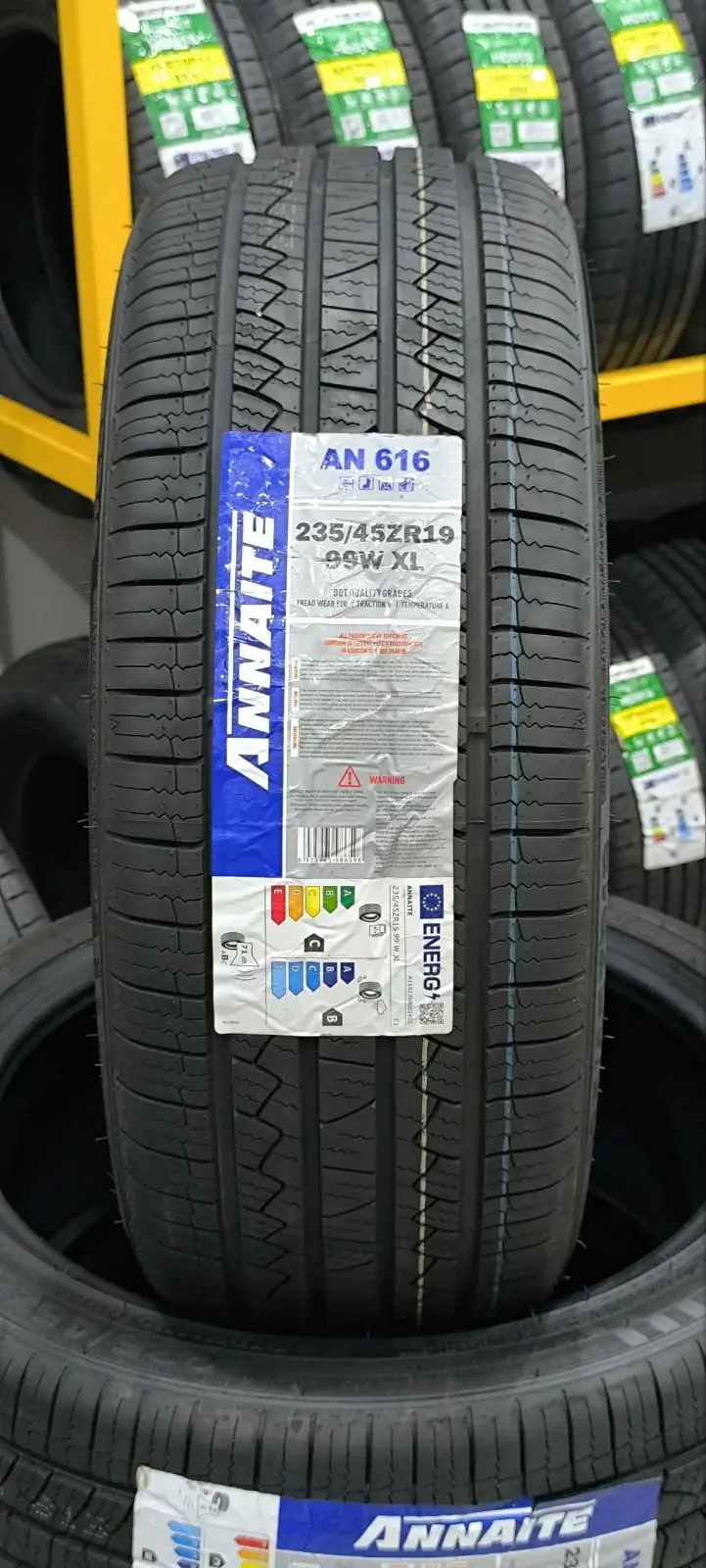 Annaite 235 45 19 1