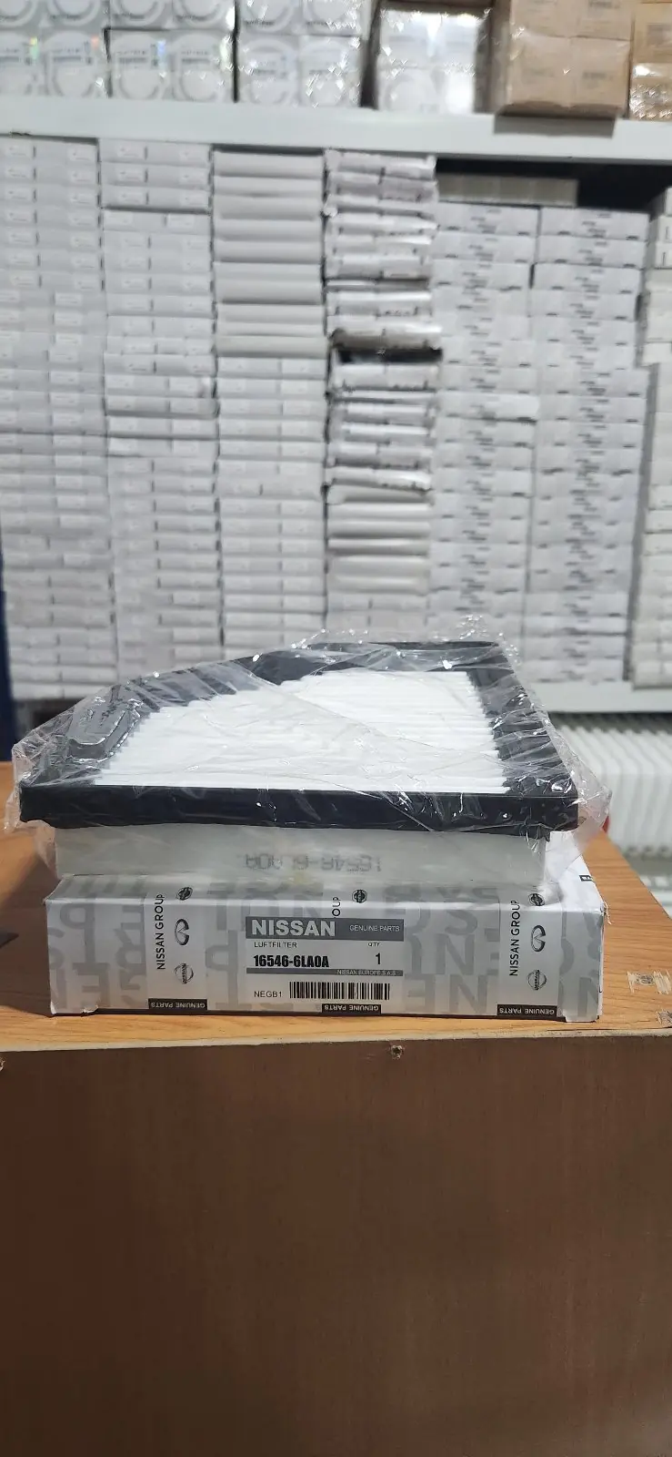 Filter nissan sentra 1
