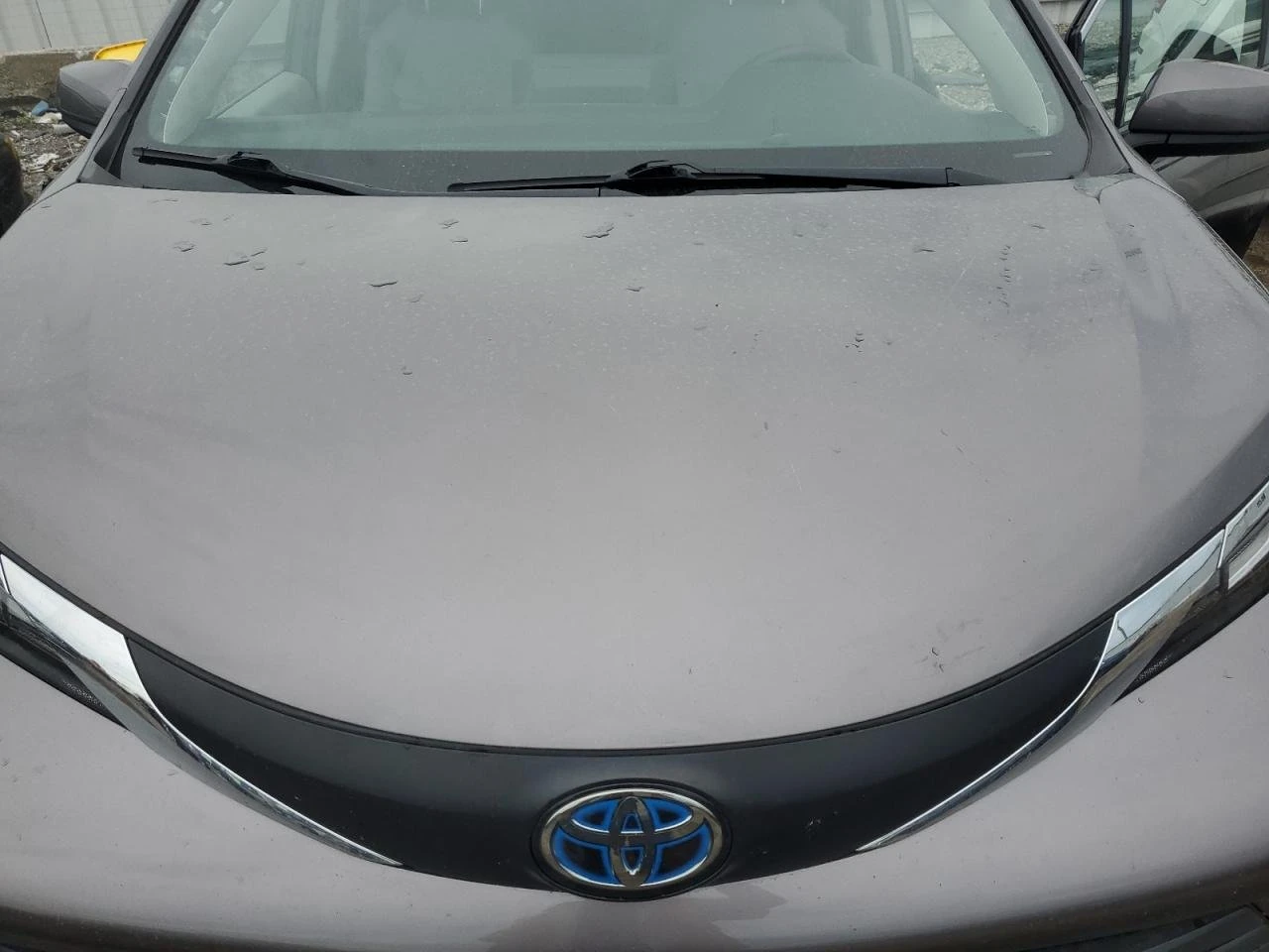 2021 Toyota Sienna Le 13
