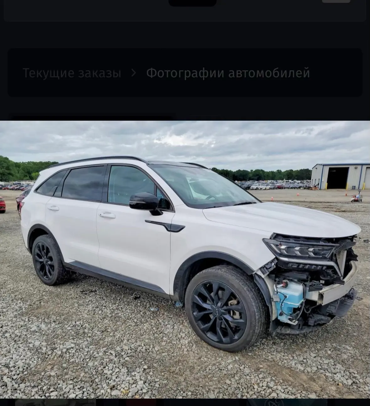 2022 Kia Sorento Sx 1