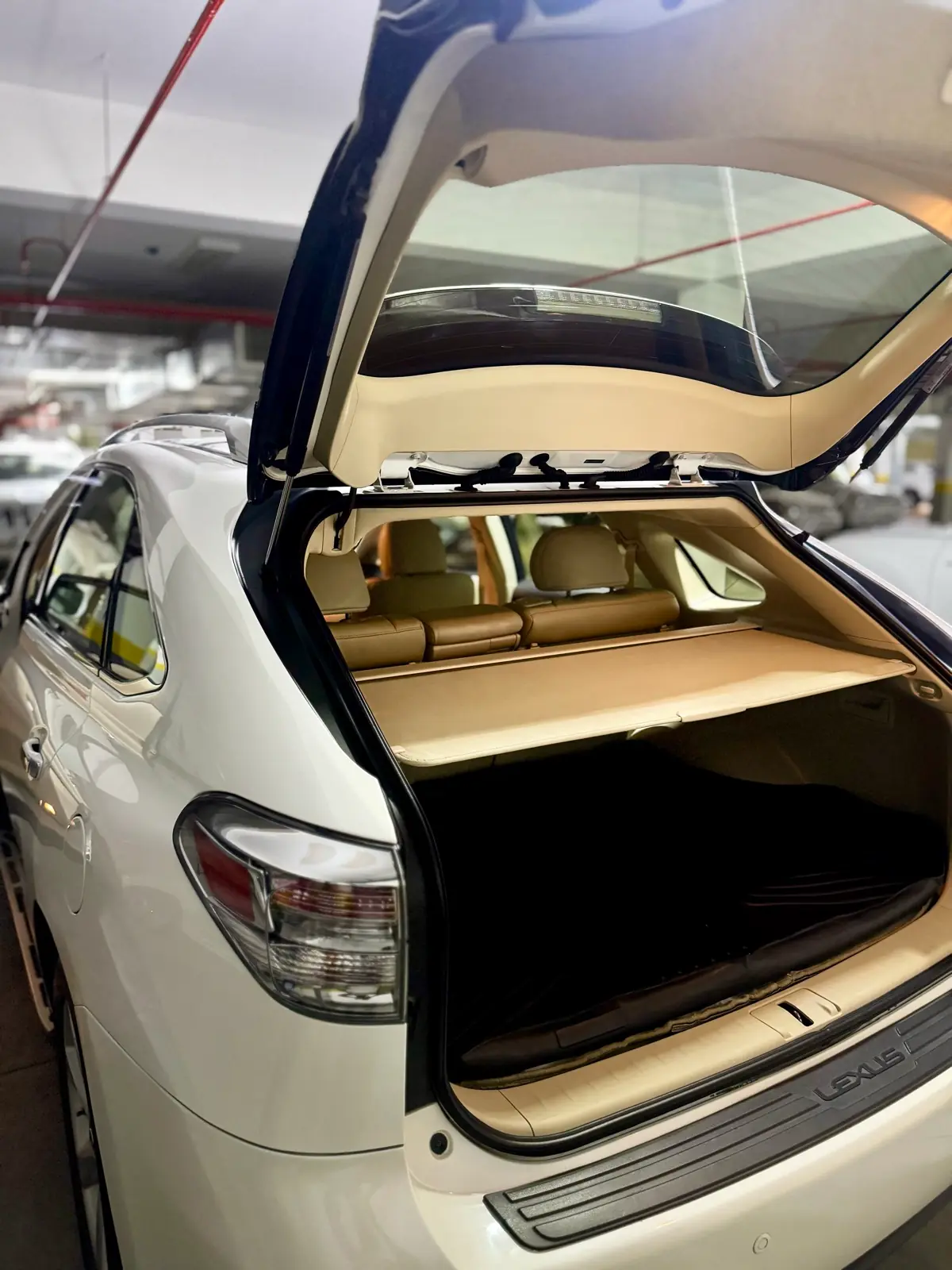 2011 LEXUS RX 2
