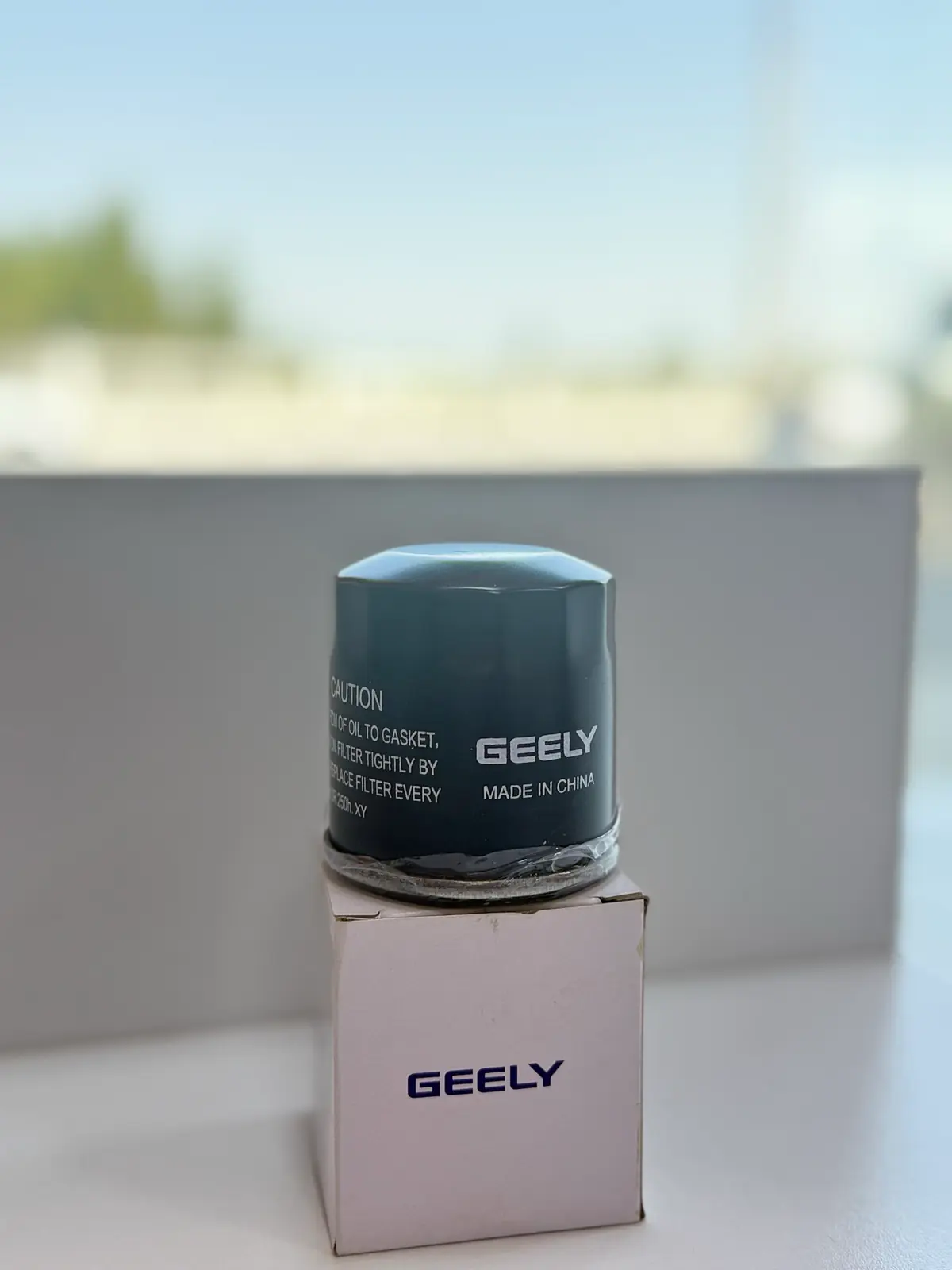 Geely Coolray yag Filtr 3