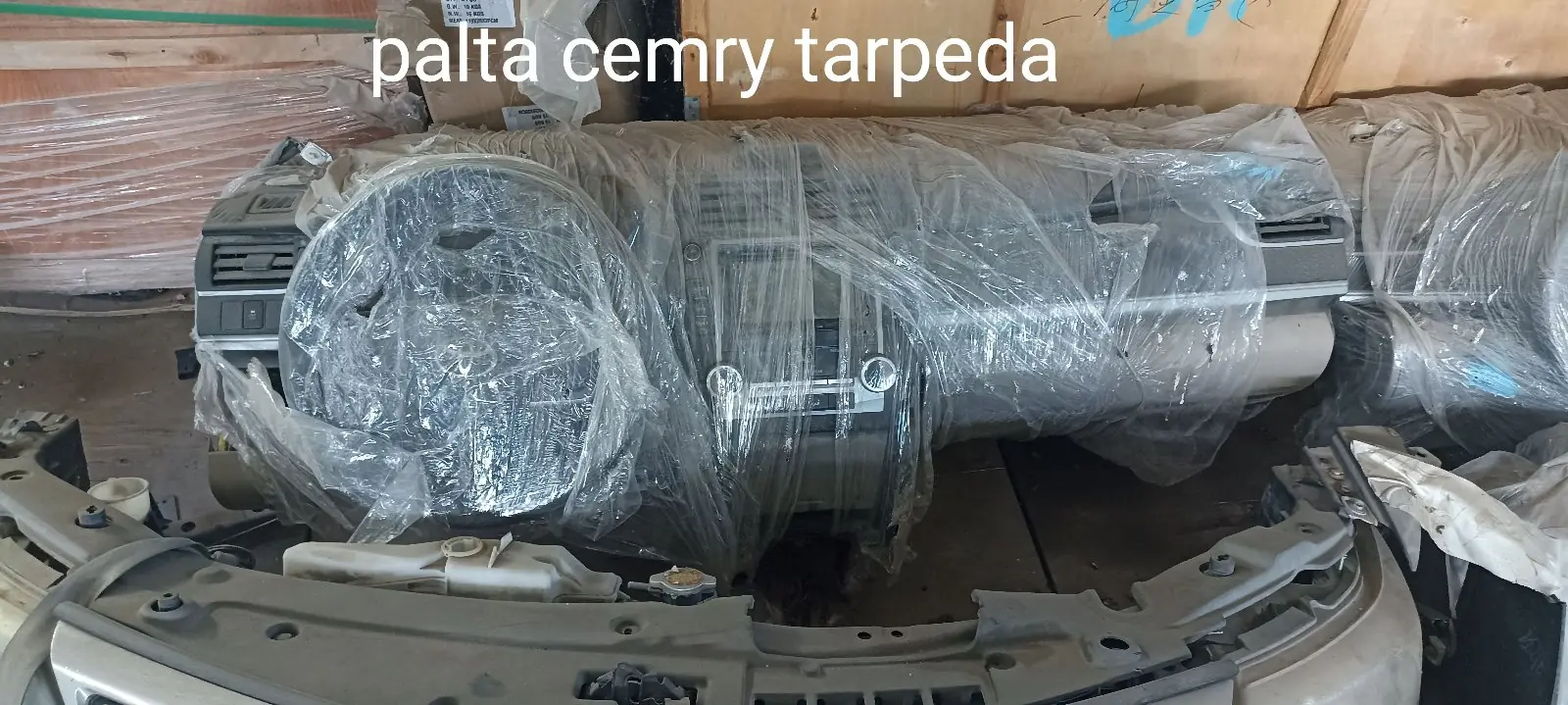 Palta tarpeda 1