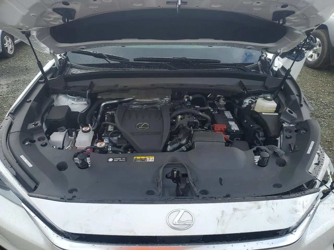 2025 Lexus Tx 350 Premium 12