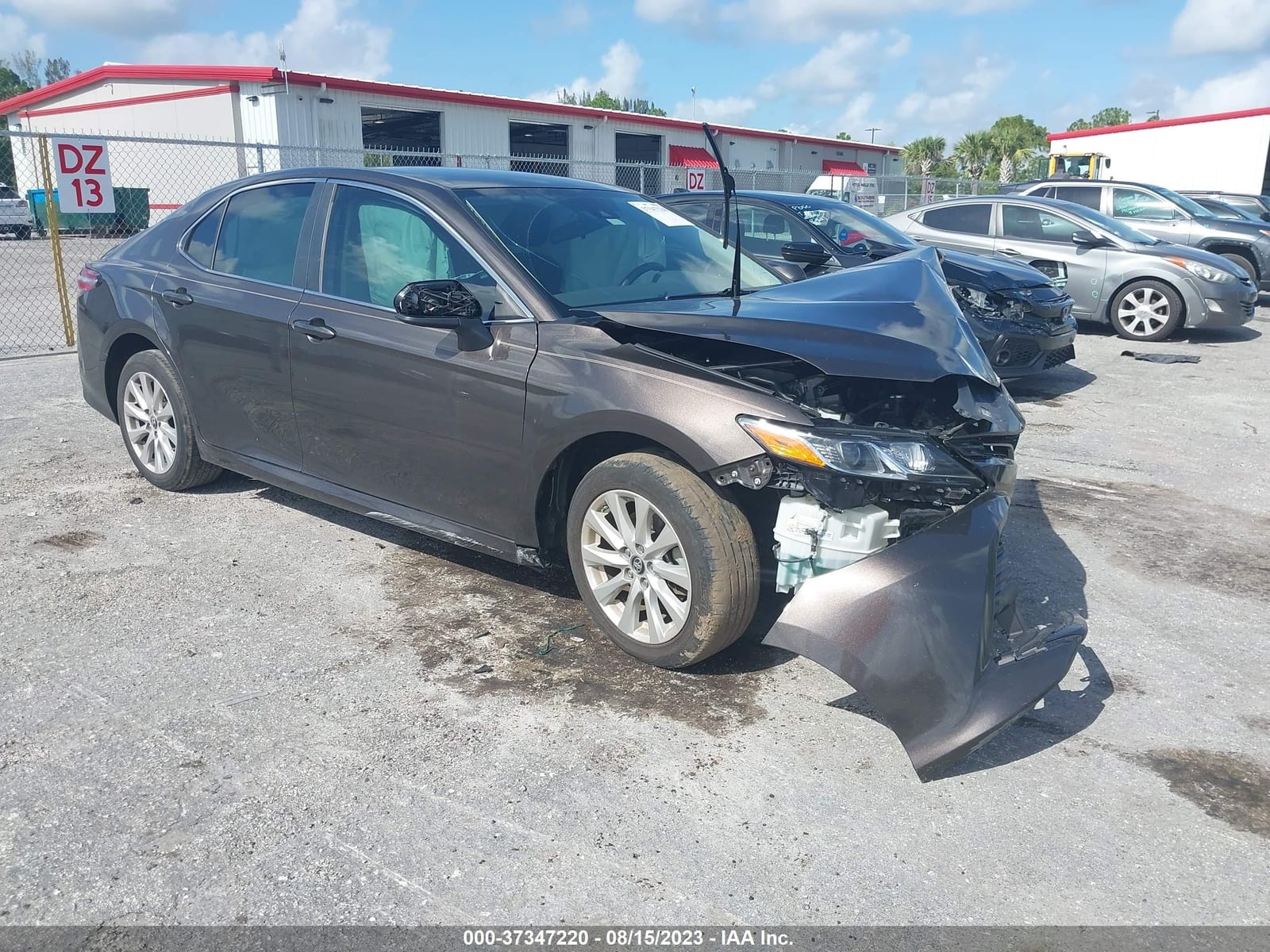 2019 Toyota Camry Le/Se/Xle/L 2
