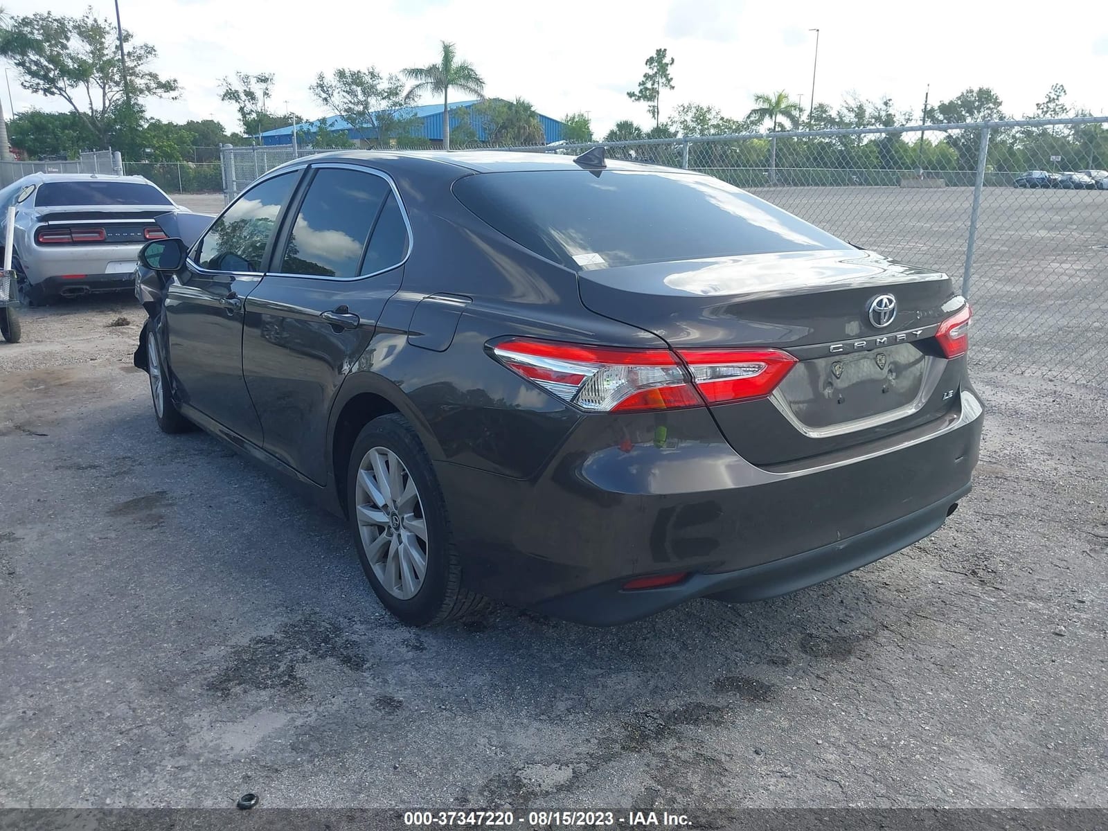 2019 Toyota Camry Le/Se/Xle/L 4