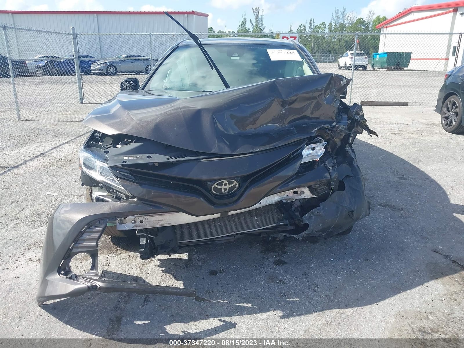 2019 Toyota Camry Le/Se/Xle/L 14