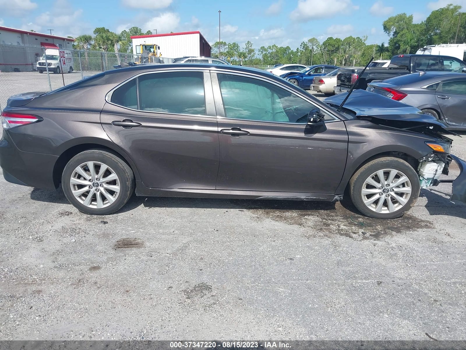 2019 Toyota Camry Le/Se/Xle/L 15