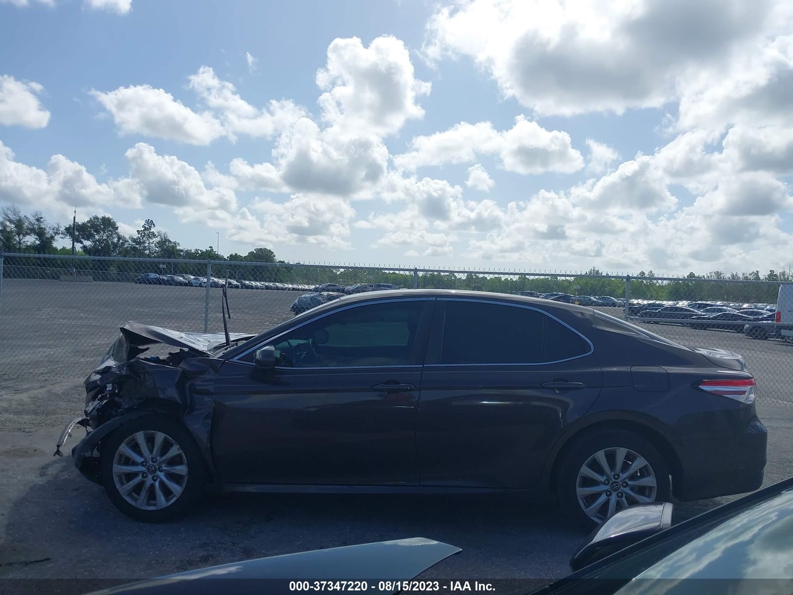 2019 Toyota Camry Le/Se/Xle/L 16