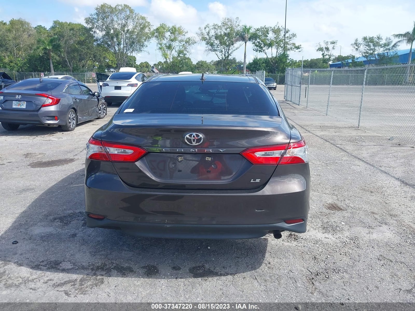 2019 Toyota Camry Le/Se/Xle/L 18