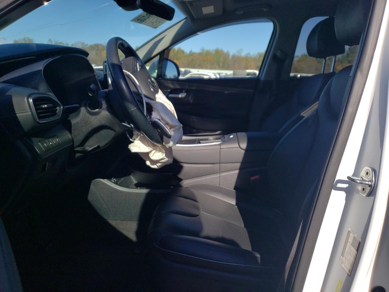 2022 Hyundai Santa Fe Sel 12