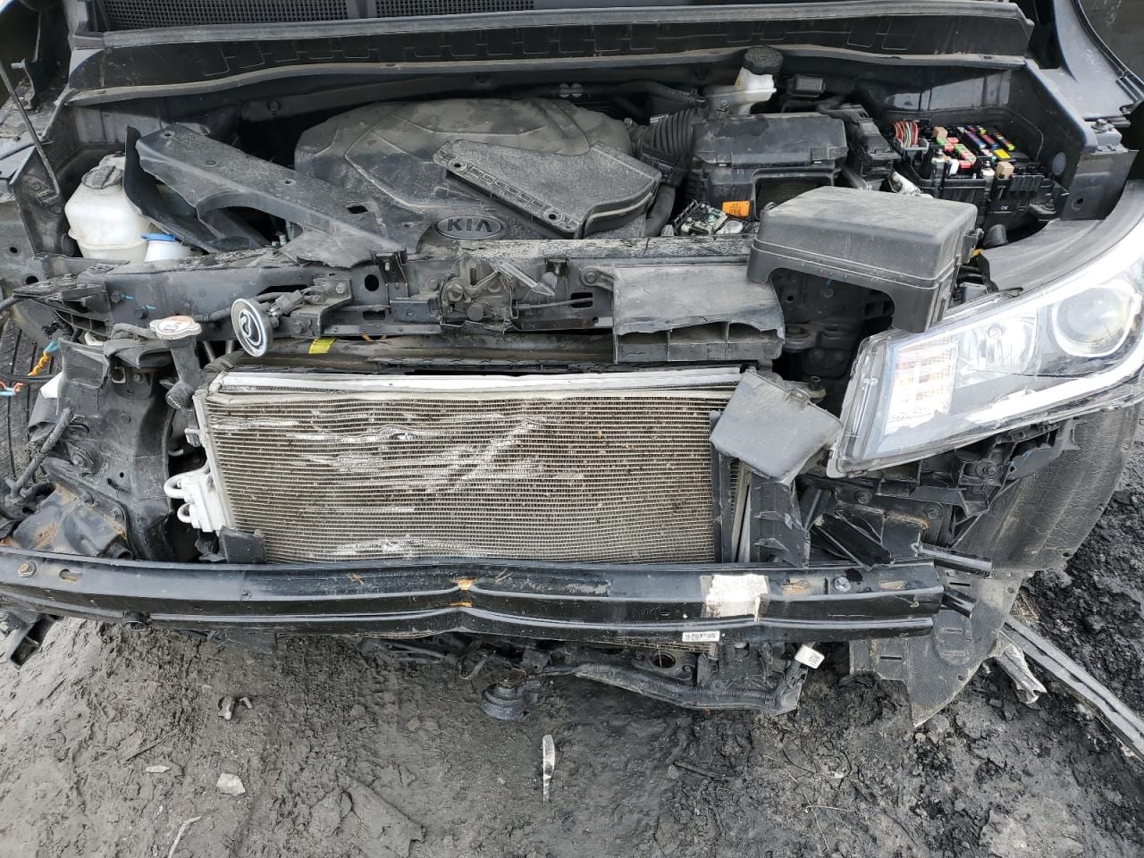 2019 Kia Sedona Lx 16